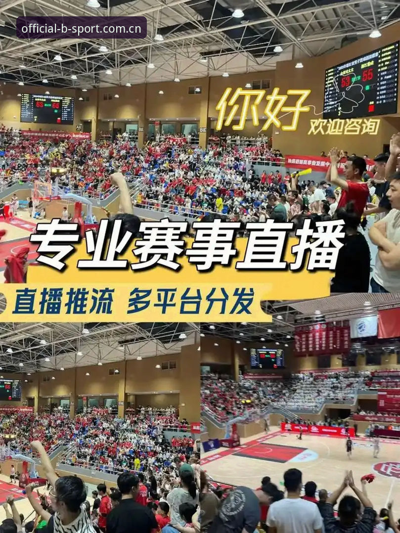 B体育更新使用指南：探索赛事直播新体验的完整详解